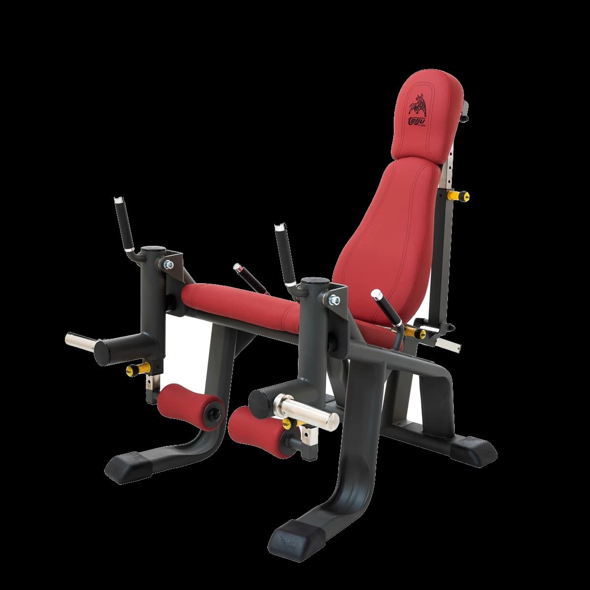 Telju Presse à cuisses (Plate Loaded) — appareil de musculation professionnel